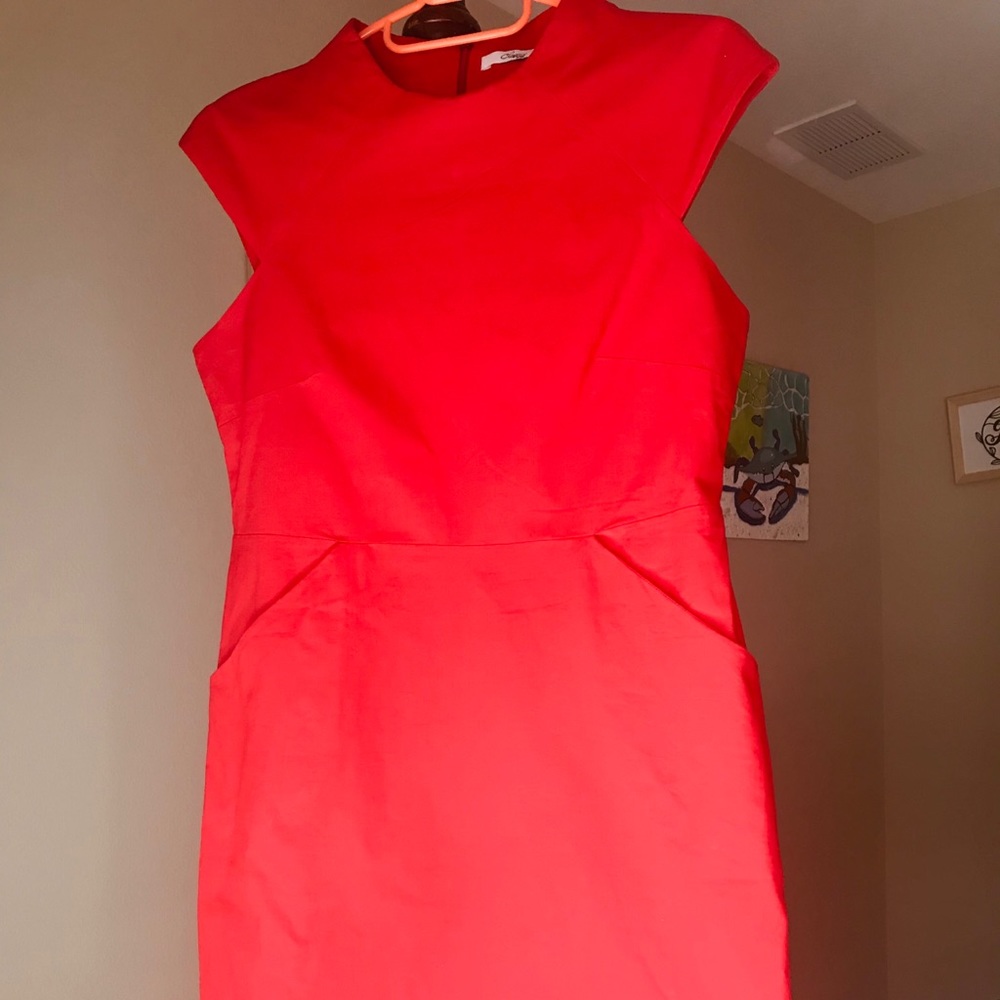 Red Dress - Picture 3 of 5